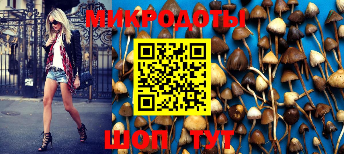 Вышний Волочёк  Галлюциногенные грибы GOLDEN TEACHER  Галлюциногенные грибы мицелий  закладка  Вход с VPN 